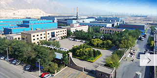 石嘴山市鹏盛化工有限公司